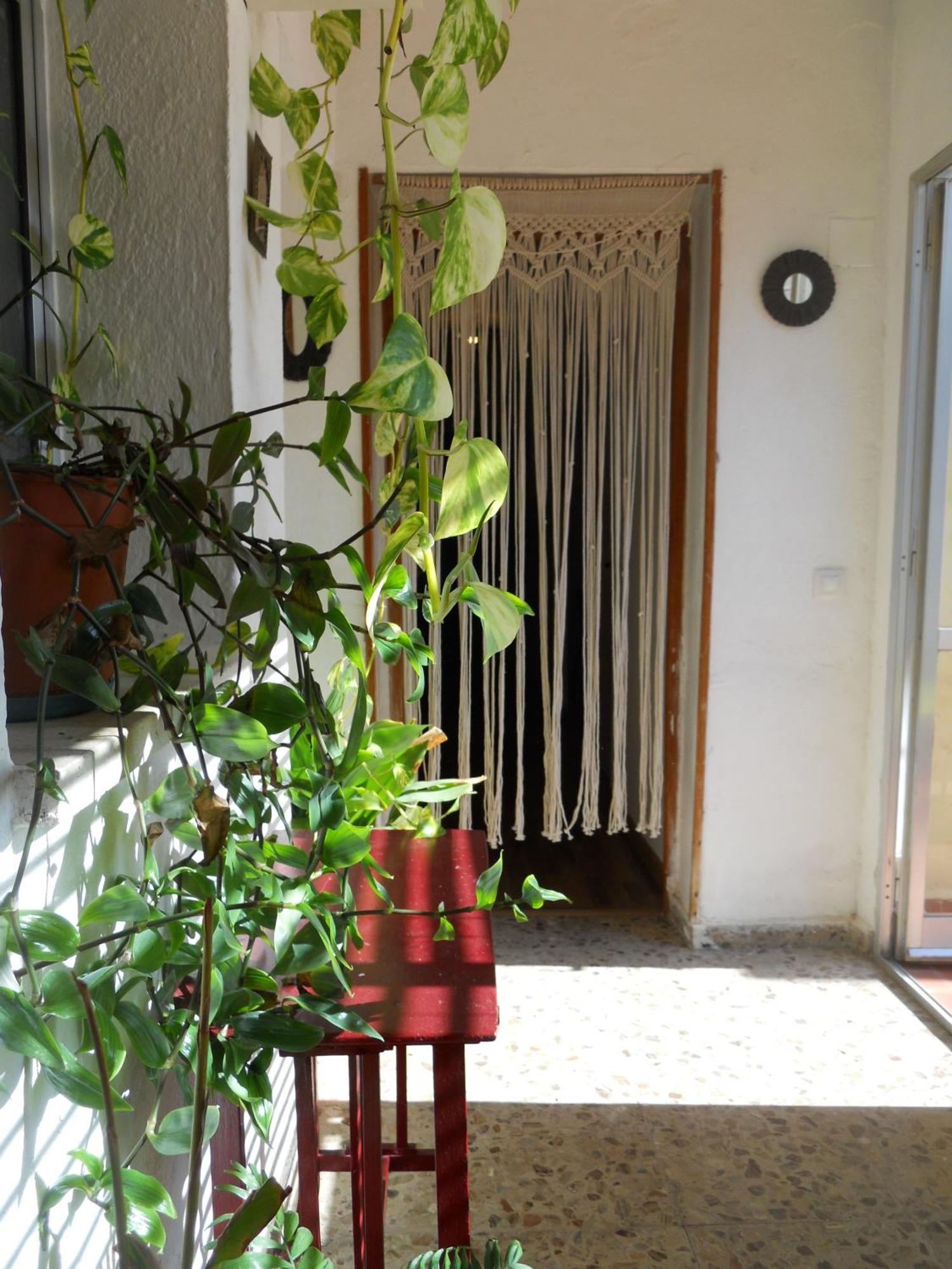 Naturalia: La Casita Con Patio Caces Dış mekan fotoğraf